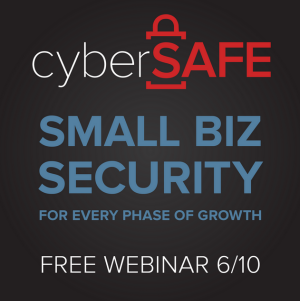 Small Biz Webinar